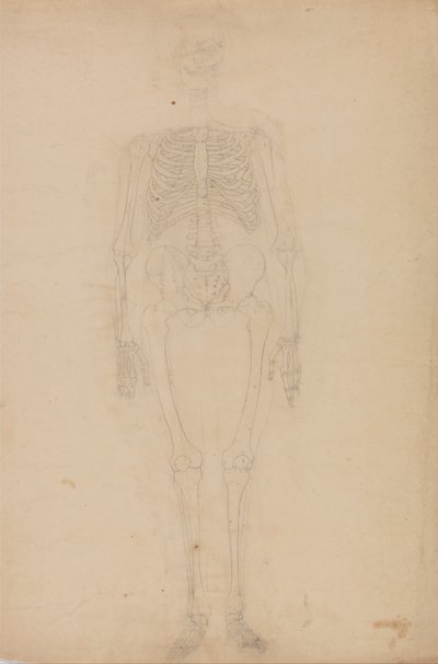A Comparative Anatomical Exposition of the Structure of the Human Body with That of a Tiger and a Cow by George Stubbs